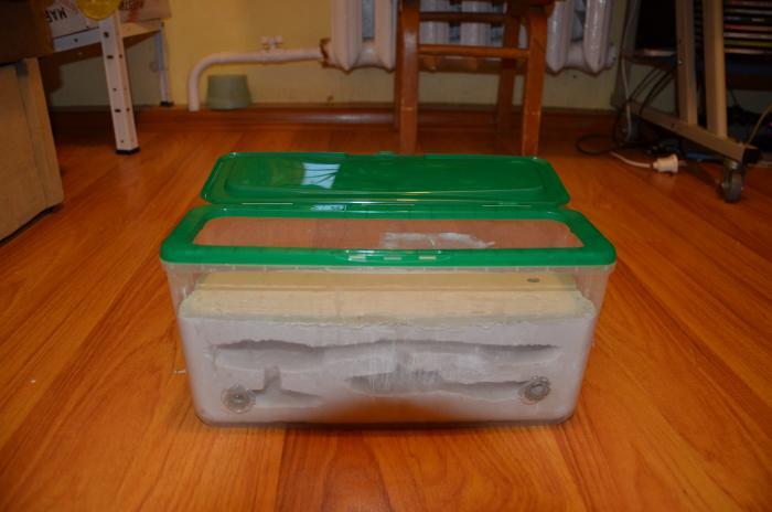 лицевая сторона